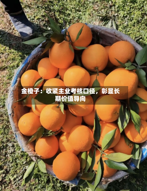 金橙子：收紧主业考核口径，彰显长期价值导向-第2张图片
