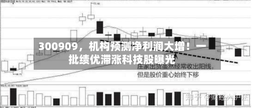 300909，机构预测净利润大增！一批绩优滞涨科技股曝光-第2张图片
