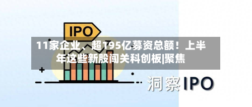 11家企业	、超195亿募资总额！上半年这些新股闯关科创板|聚焦-第3张图片