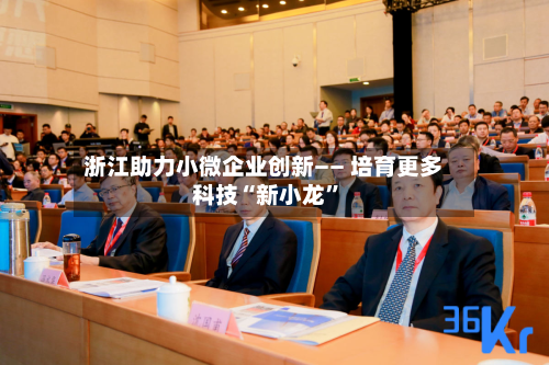 浙江助力小微企业创新—— 培育更多科技“新小龙”-第3张图片