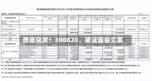 昨夜突发！300020	，被证监会立案-第3张图片