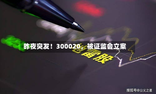 昨夜突发！300020，被证监会立案-第2张图片