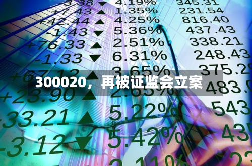 300020，再被证监会立案-第2张图片