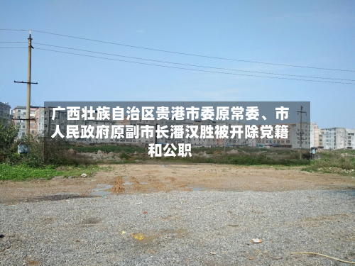广西壮族自治区贵港市委原常委、市人民政府原副市长潘汉胜被开除党籍和公职-第3张图片
