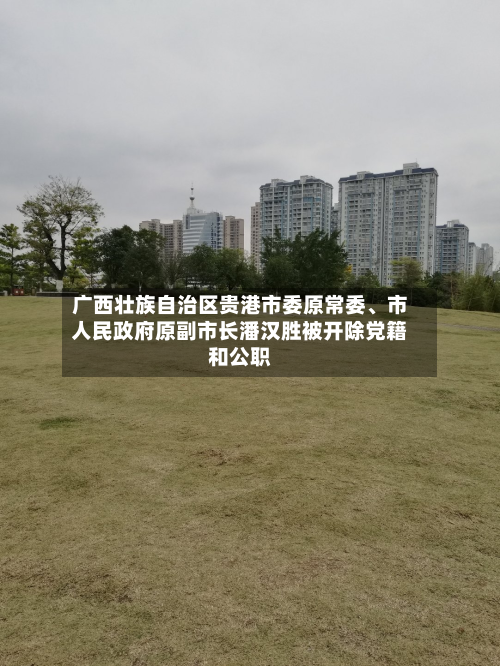 广西壮族自治区贵港市委原常委、市人民政府原副市长潘汉胜被开除党籍和公职-第2张图片