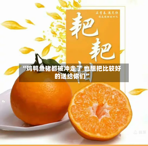 “鸡鸭鱼猪都被冲走了 也想把比较好的送给你们”-第2张图片