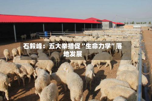 石毅峰：五大举措促“生命力学”落地发展-第2张图片