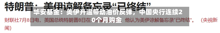 华安基金：美伊升温带动油价反弹，中国央行连续20个月购金-第3张图片