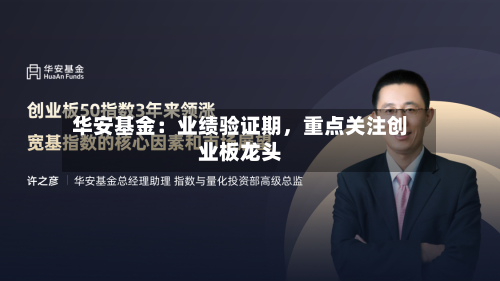 华安基金：业绩验证期，重点关注创业板龙头-第2张图片