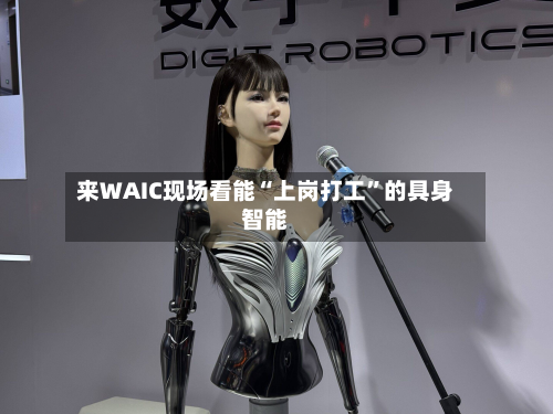 来WAIC现场看能“上岗打工	”的具身智能-第3张图片