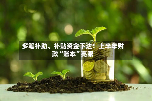 多笔补助、补贴资金下达！上半年财政“账本”亮眼-第3张图片