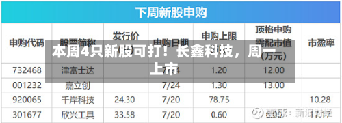 本周4只新股可打！长鑫科技，周一上市-第2张图片