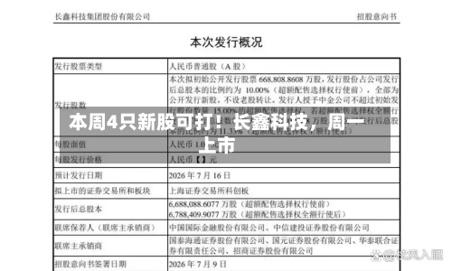 本周4只新股可打！长鑫科技	，周一上市-第3张图片