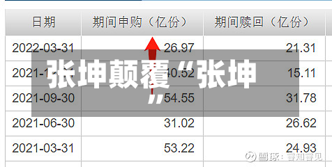 张坤颠覆“张坤”-第2张图片
