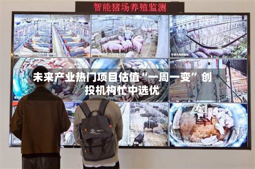 未来产业热门项目估值“一周一变” 创投机构忙中选优-第2张图片