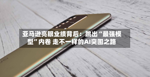 亚马逊亮眼业绩背后：跳出“最强模型	”内卷 走不一样的AI突围之路-第2张图片