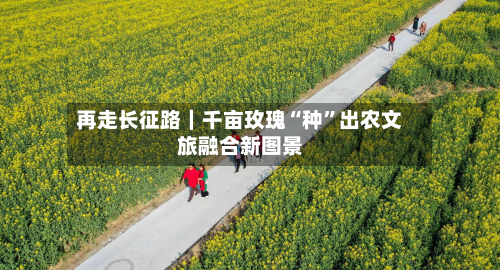再走长征路｜千亩玫瑰“种”出农文旅融合新图景-第2张图片