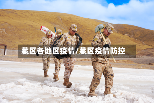 藏区各地区疫情/藏区疫情防控