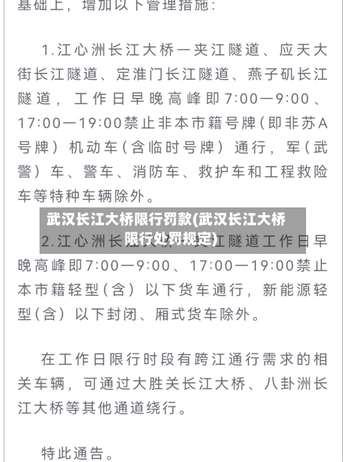 武汉长江大桥限行罚款(武汉长江大桥限行处罚规定)