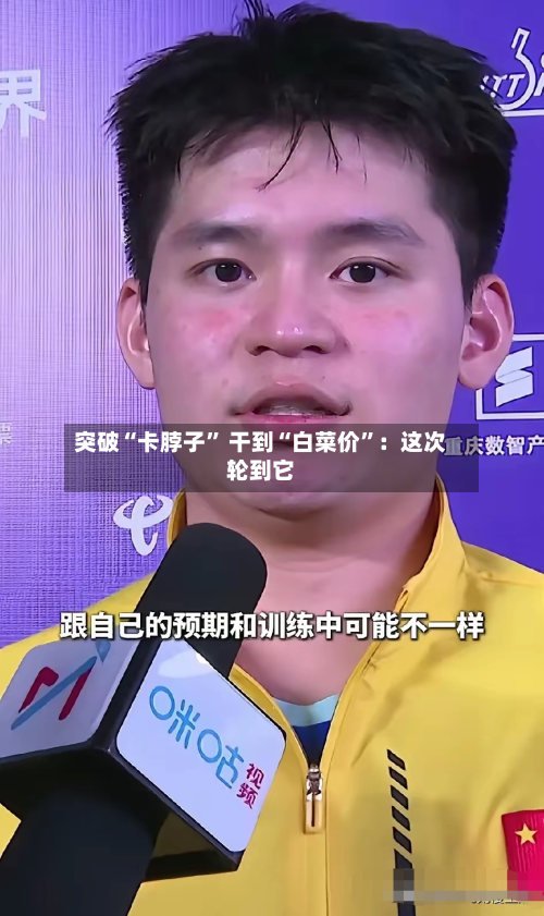 突破“卡脖子” 干到“白菜价	”：这次轮到它-第2张图片