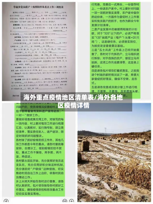 海外重点疫情地区清单表/海外各地区疫情详情