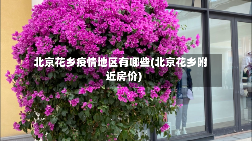 北京花乡疫情地区有哪些(北京花乡附近房价)