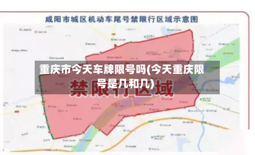 重庆市今天车牌限号吗(今天重庆限号是几和几)