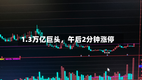 1.3万亿巨头，午后2分钟涨停-第3张图片
