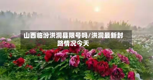 山西临汾洪洞县限号吗/洪洞最新封路情况今天-第2张图片
