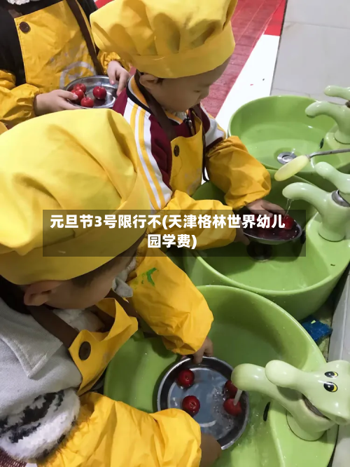 元旦节3号限行不(天津格林世界幼儿园学费)-第2张图片