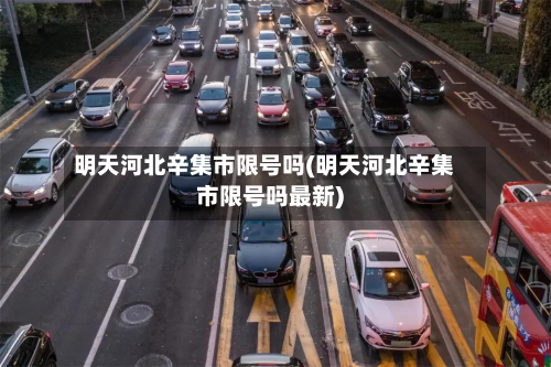 明天河北辛集市限号吗(明天河北辛集市限号吗最新)