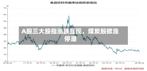 A股三大股指涨跌互现，煤炭股掀涨停潮-第2张图片