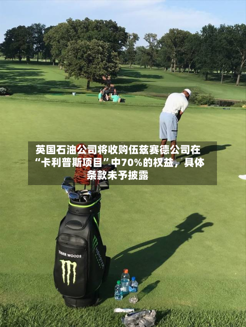 英国石油公司将收购伍兹赛德公司在“卡利普斯项目”中70%的权益，具体条款未予披露-第2张图片