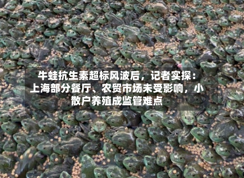 牛蛙抗生素超标风波后，记者实探：上海部分餐厅、农贸市场未受影响	，小散户养殖成监管难点-第3张图片