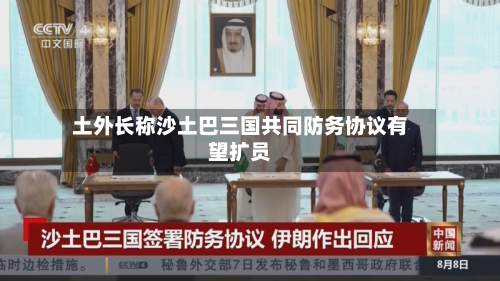 土外长称沙土巴三国共同防务协议有望扩员-第3张图片