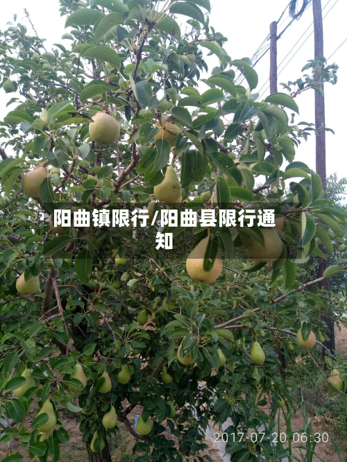 阳曲镇限行/阳曲县限行通知-第3张图片