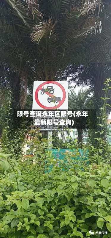 限号查询永年区限号(永年最新限号查询)