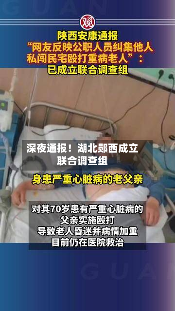 深夜通报！湖北郧西成立联合调查组