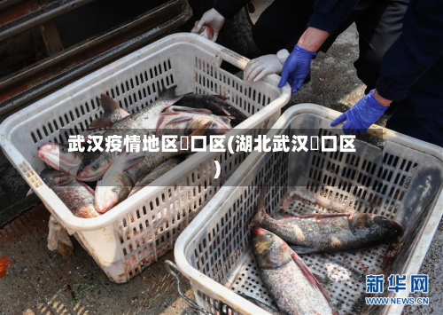 武汉疫情地区硚口区(湖北武汉硚口区)-第2张图片