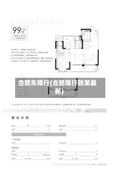 合肥东限行(合肥限行政策最新)