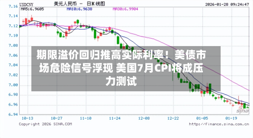 期限溢价回归推高实际利率!美债市场危险信号浮现 美国7月CPI将成压力测试-第2张图片