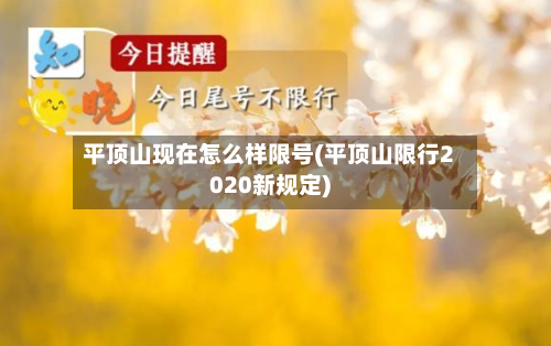 平顶山现在怎么样限号(平顶山限行2020新规定)-第2张图片