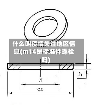 什么叫疫情关注地区信息(m14是标准件螺栓吗)