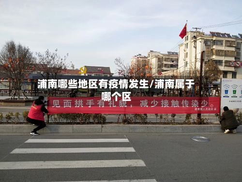浦南哪些地区有疫情发生/浦南属于哪个区-第2张图片