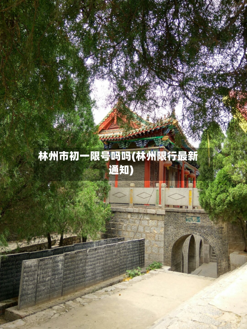 林州市初一限号吗吗(林州限行最新通知)-第3张图片