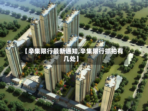 【辛集限行最新通知,辛集限行抓拍有几处】-第2张图片