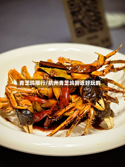 青芝坞限行/杭州青芝坞附近好玩的-第2张图片