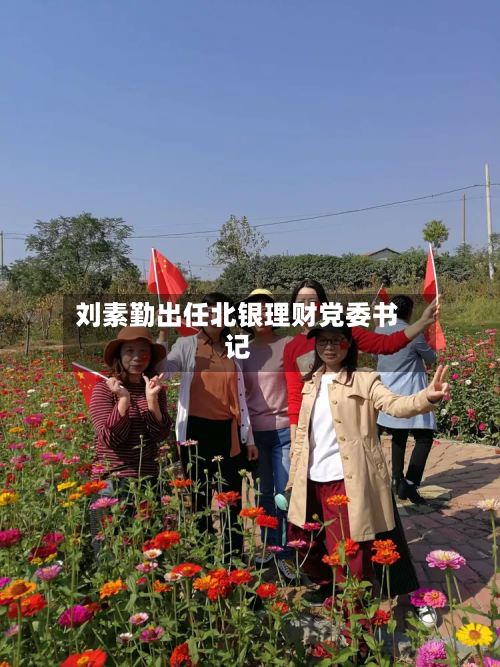 刘素勤出任北银理财党委书记