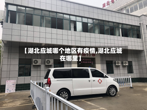 【湖北应城哪个地区有疫情,湖北应城在哪里】