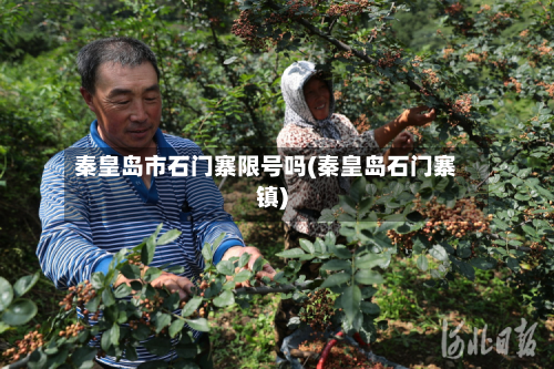 秦皇岛市石门寨限号吗(秦皇岛石门寨镇)-第3张图片
